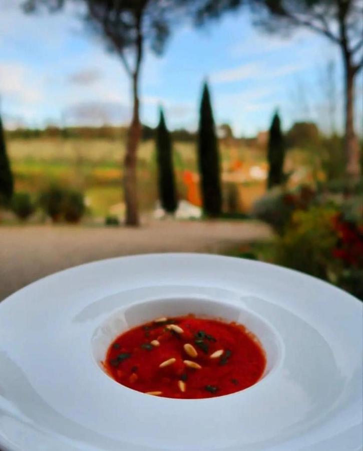 Podere Borgaruccio Peccioli Экстерьер фото