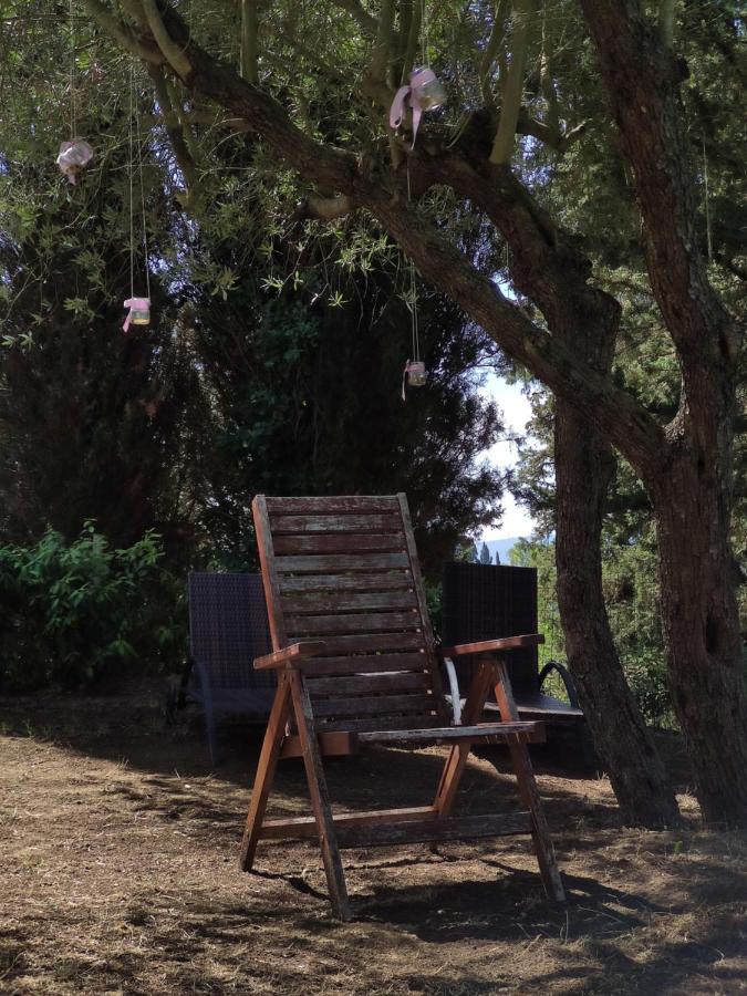 Podere Borgaruccio Peccioli Экстерьер фото