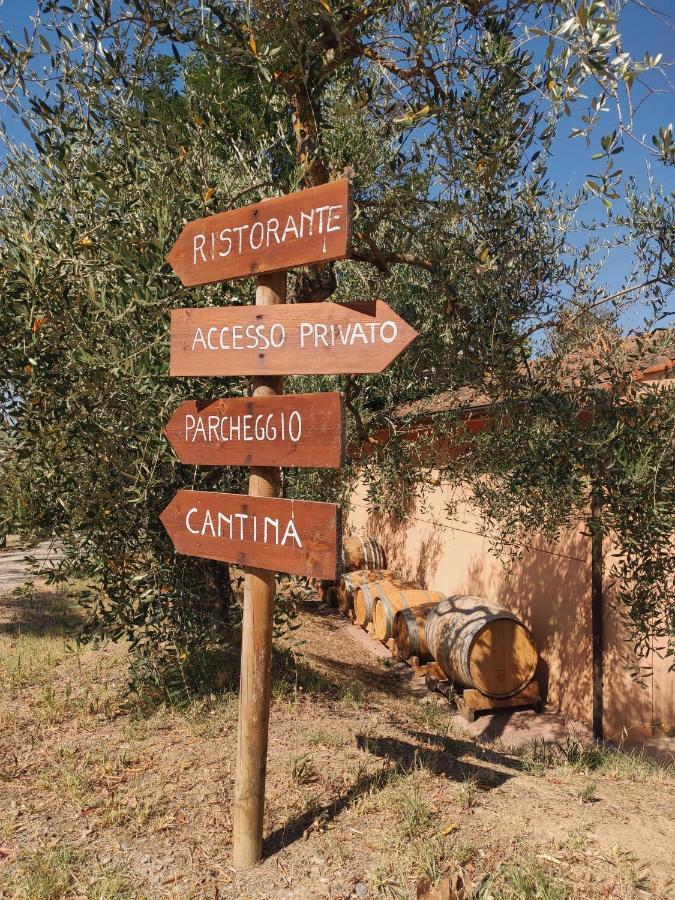 Podere Borgaruccio Peccioli Экстерьер фото