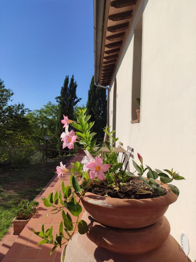 Podere Borgaruccio Peccioli Экстерьер фото